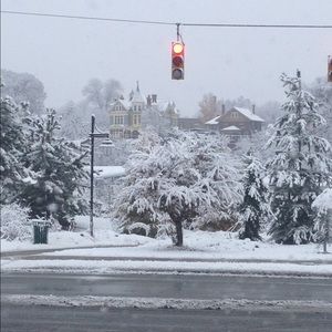 Meet your Posher, Cheikh